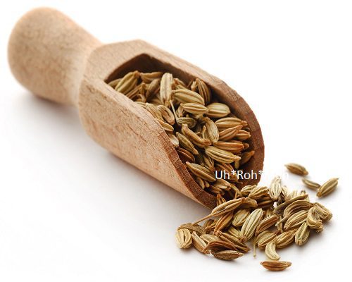 Fennel Essential oil 