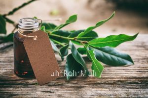 Bay Essential Oil