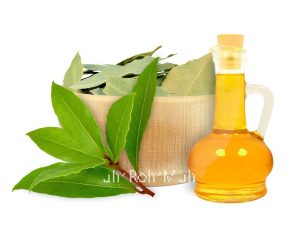 Laurel Leaf essential oil