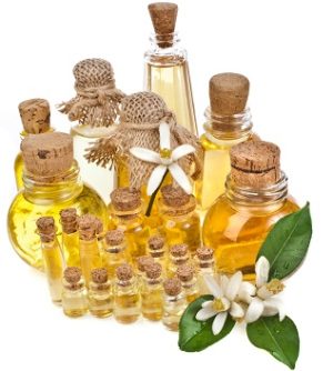 Exotic Collection