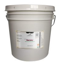 Illipe Nut Butter (Organic)