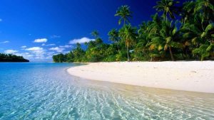Blue Hawaiian Fragrance Oil
