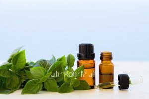 Basil Essential Oil (Organic)