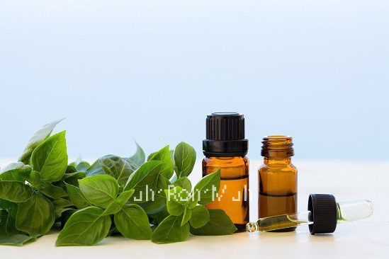 Basil Essential Oil (Organic)