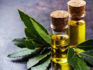 Bay Essential Oil (India)