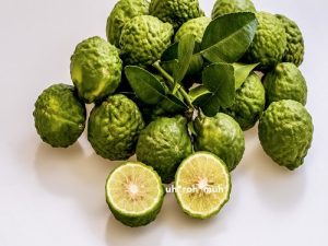 Bergamot Essential Oil (Organic)