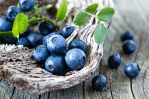 Blueberry Fragrance Oil
