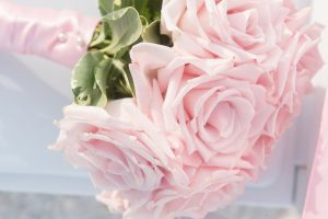 Cozy Cashmere BBW Type Fragrance Oil