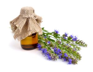 Hyssop-oil
