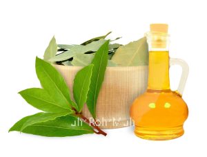 Laurel Leaf Essential Oil