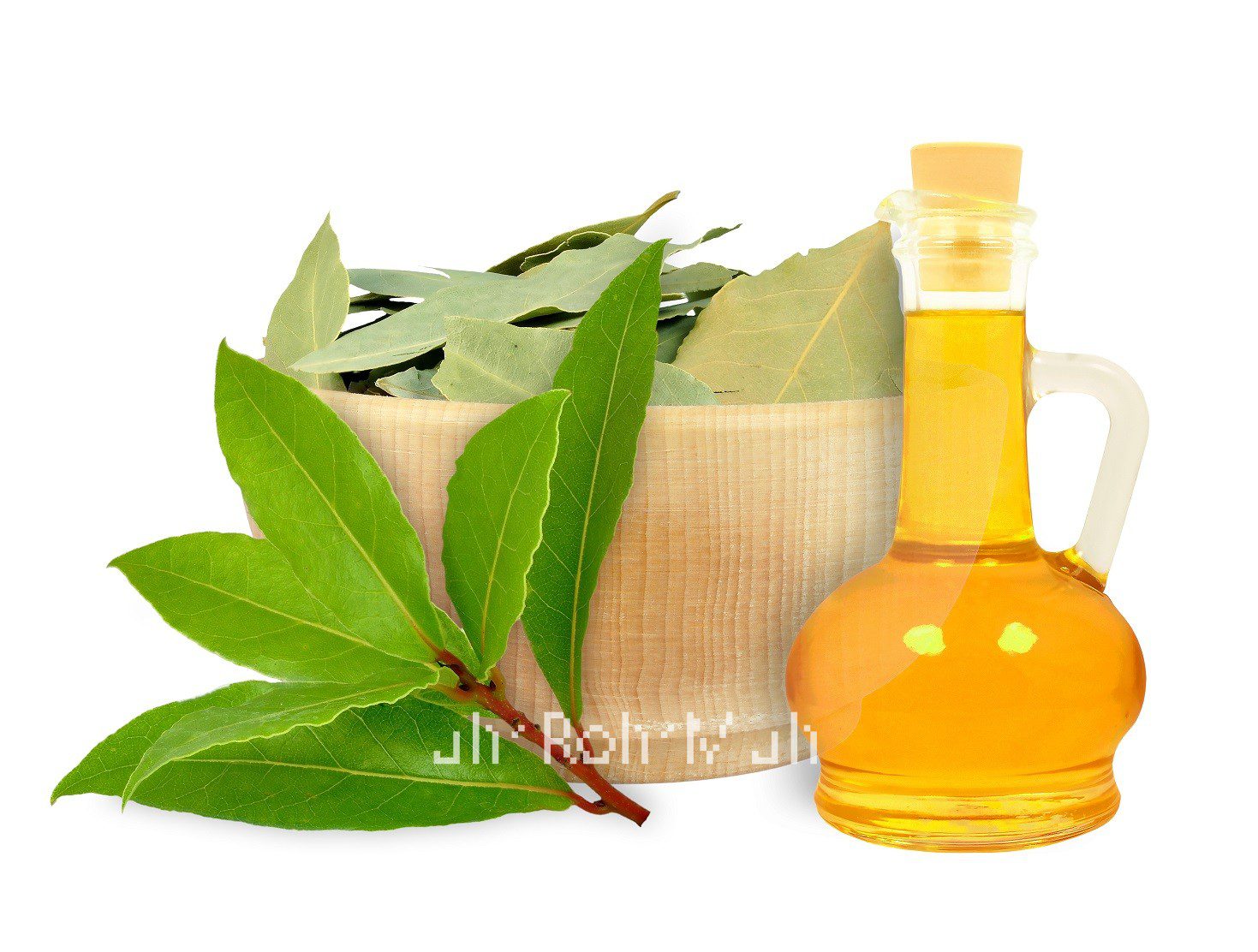 Laurel Leaf Essential Oil
