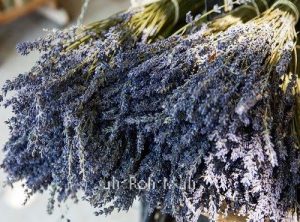 Lavender Essential Oil (Bulgaria)