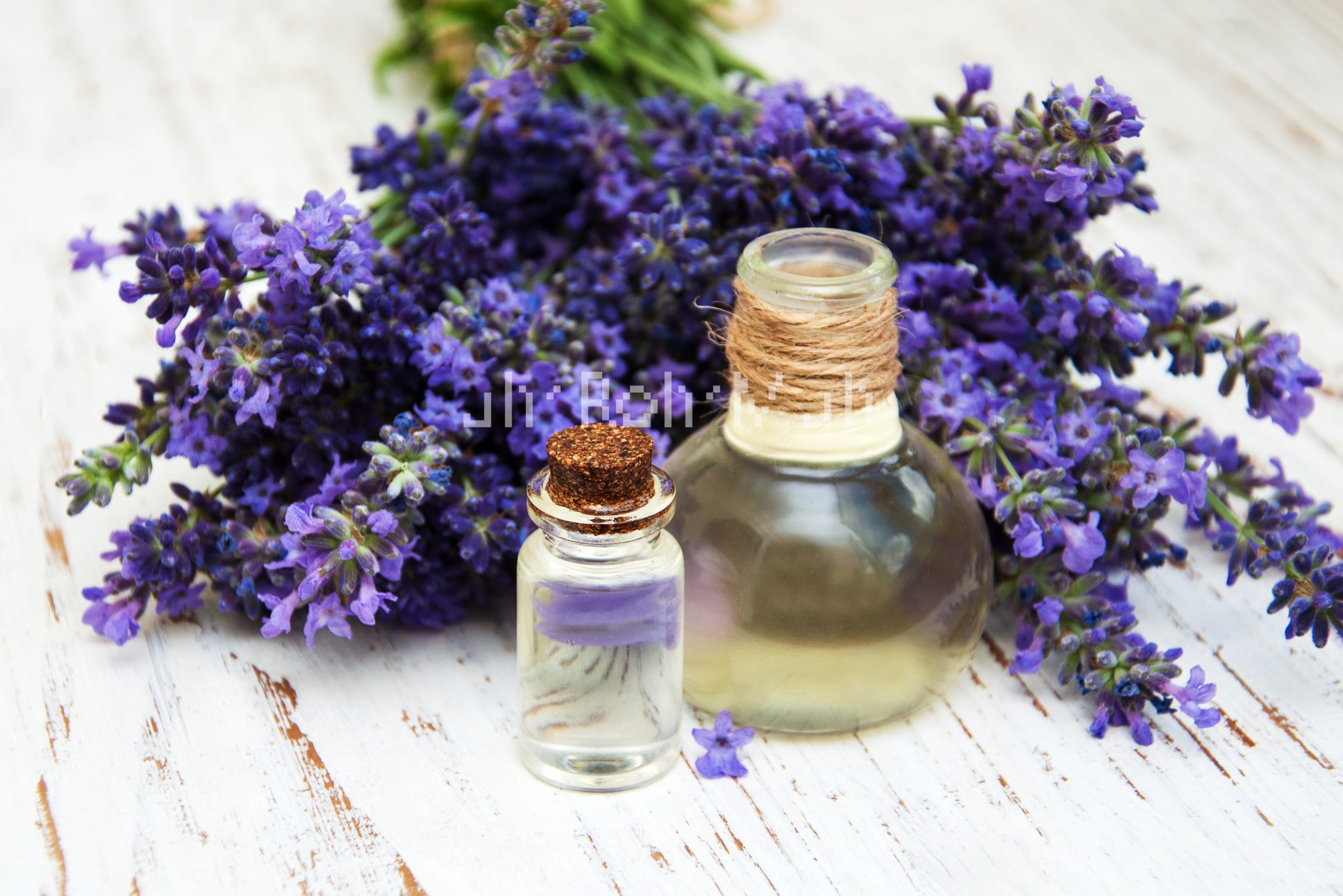 Lavender Fine Essential Oil (Organic) (France)