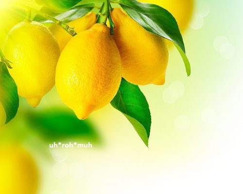 Lemon Essential Oil (Organic)