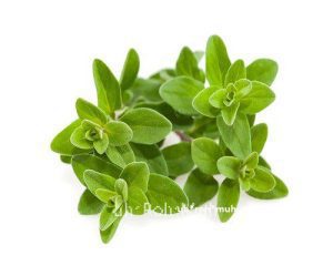 Marjoram (Wild) Essential Oil (Organic)