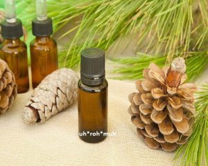Pine Essential Oil