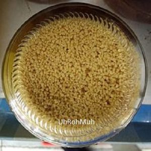Soy Lecithin - Liquid (Organic)