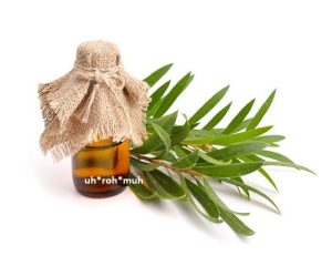 Tea Tree Essential Oil (Organic) (South Africa)