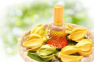 Ylang Ylang Extra Essential Oil