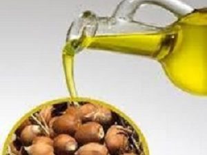 Babassu Oil (Refined) (Organic)