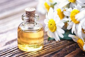 Chamomile Roman Oil (Organic)