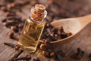 Clove Bud Essential Oil (CO2)