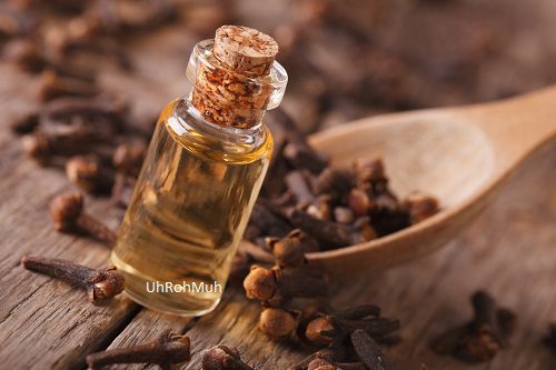 Clove Bud Essential Oil (CO2)