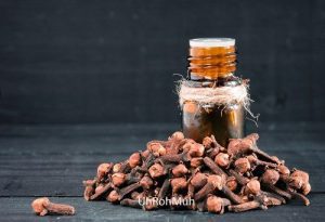 Clove Bud Oil (Organic) (Sri Lanka)