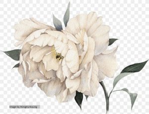 Coco Mademoiselle Type Fragrance Oil