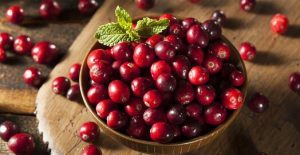 Organic Cranberry seed
