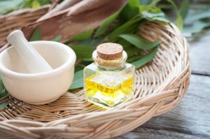 Eucalyptus Citriodora Oil (Organic)
