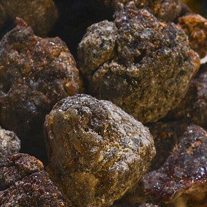 Frankincense Neglecta Resin (Wild Harvest)