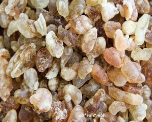 Frankincense Essential Oil - B. Serrata (Organic)