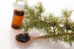 Juniperberry Essential Oil (Organic)