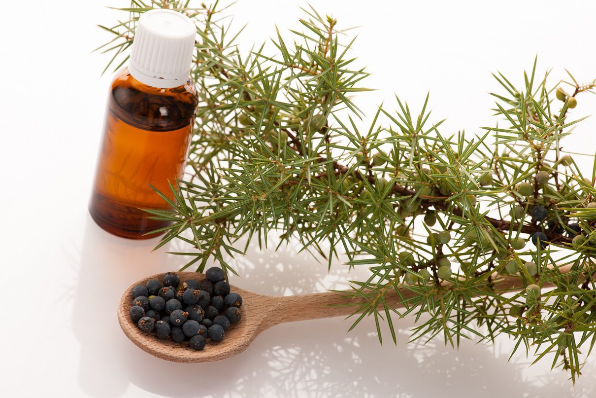 Juniperberry Essential Oil (Organic)