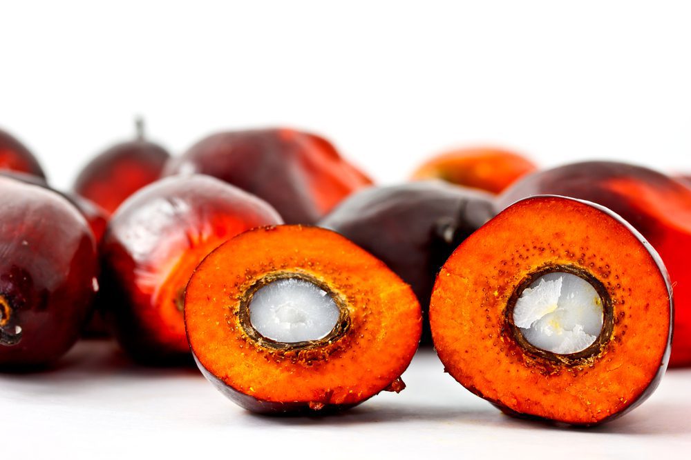 Palm Fruit Oil - (Organic)