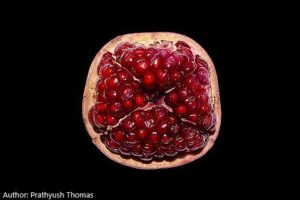 Pomegranate Seed Oil (Virgin)