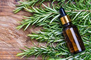 Rosemary Essential Oil ct Camphor (India)