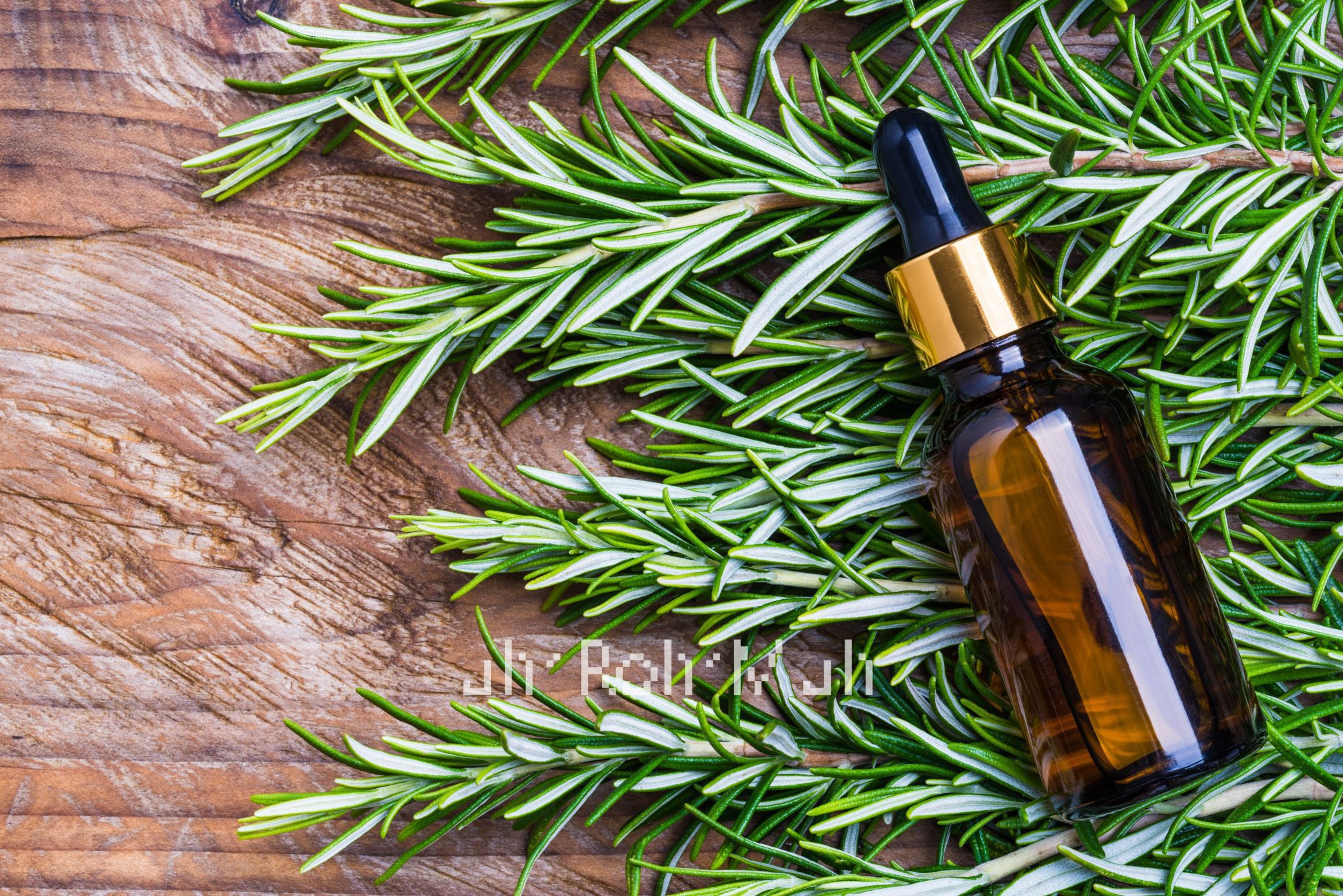 Rosemary Essential Oil ct Camphor (India)