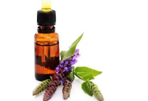 Spanish Sage Organic Essential Oil