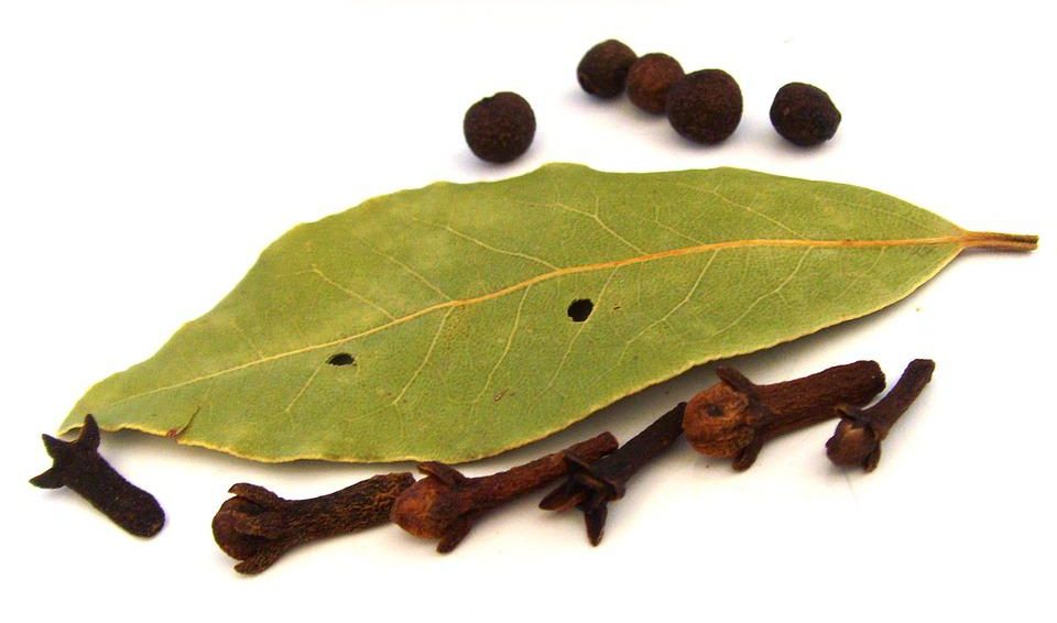 Clove Leaf Essential Oil