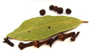Organic Clove Leaf Essential Oil