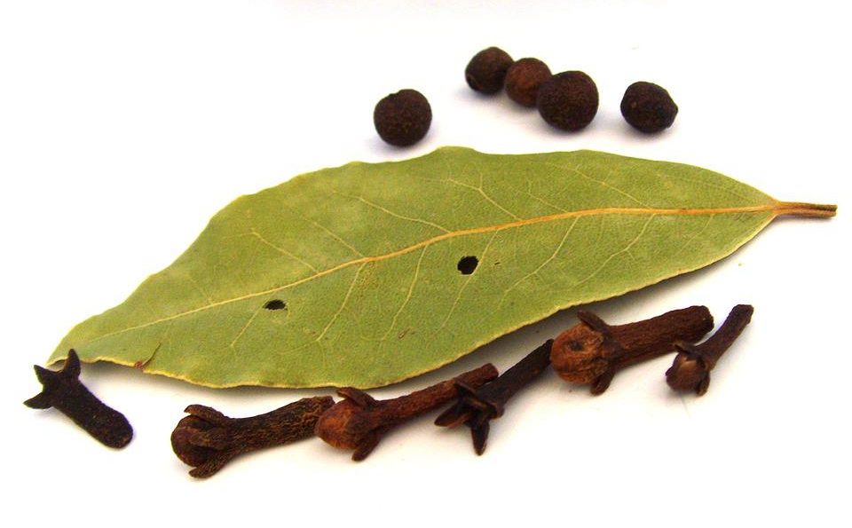 Organic Clove Leaf Essential Oil