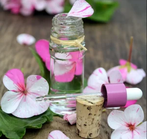 Geranium Essential Oil - Egypt