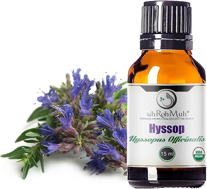 hyssop essential oil