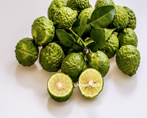 Bergamot Essential Oil
