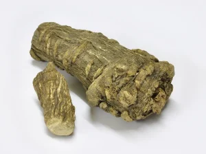 Angelica Root