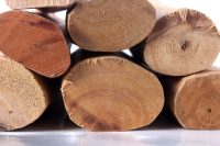 Rosewood Essential Oil (Organic)