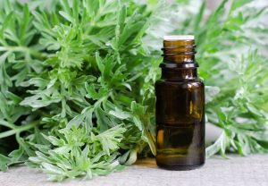 Wormwood Essential Oil