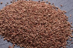 Ajwain Essential Oil